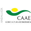 C.A.A.E.